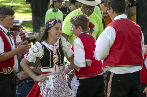 Article Image Alt Text