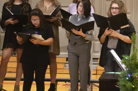 Article Image Alt Text