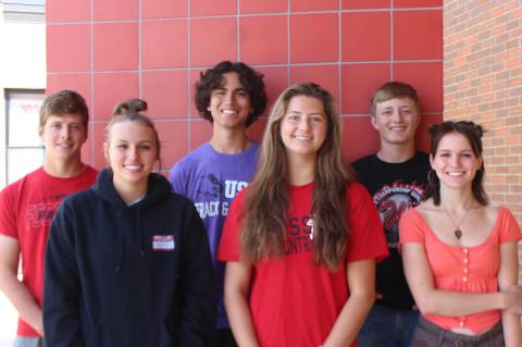 Article Image Alt Text