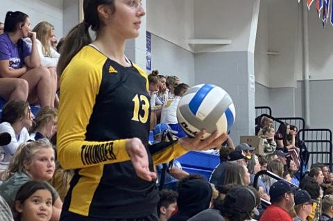 Article Image Alt Text