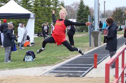 Article Image Alt Text