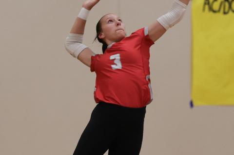 Article Image Alt Text