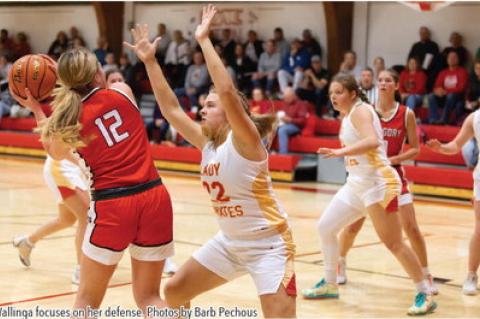 Article Image Alt Text