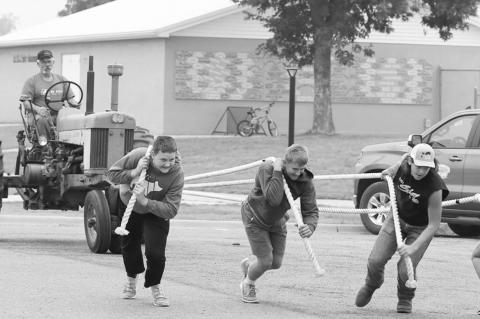 Article Image Alt Text