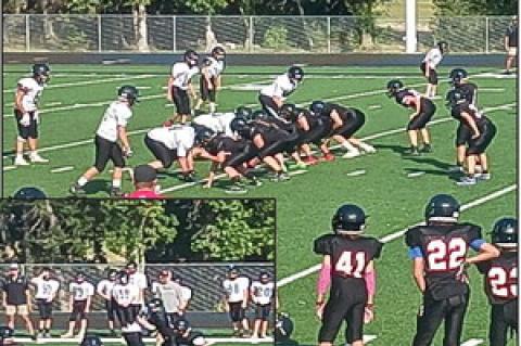 Article Image Alt Text