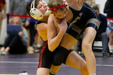 Article Image Alt Text