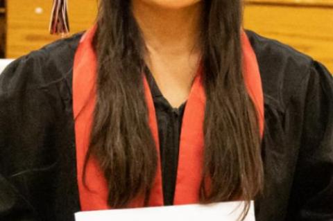 Article Image Alt Text