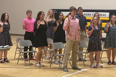 Article Image Alt Text