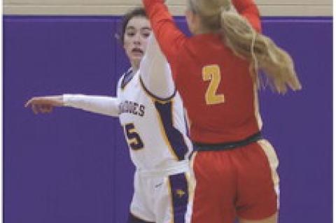 Article Image Alt Text