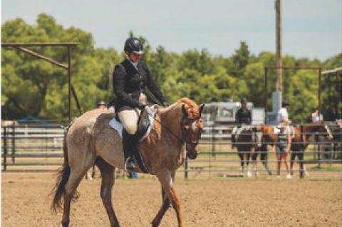 STATE 4-H HORSE SHOW RESULTS