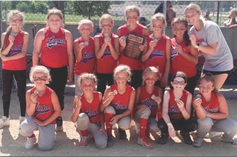 Article Image Alt Text