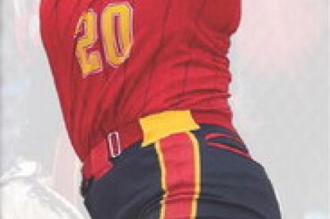 Article Image Alt Text