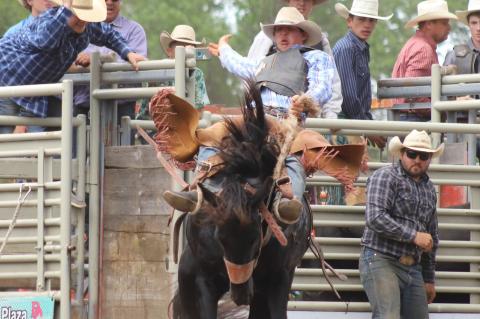 Article Image Alt Text