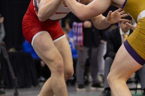 Article Image Alt Text