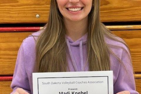 Article Image Alt Text