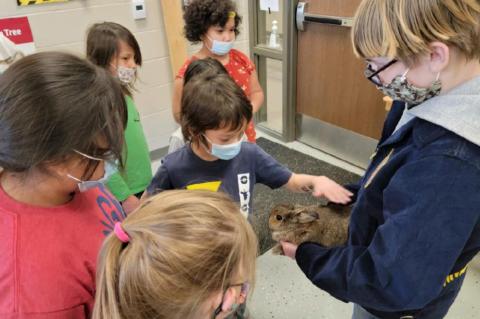 ANDES CENTRAL CELEBRATES FFA WEEK