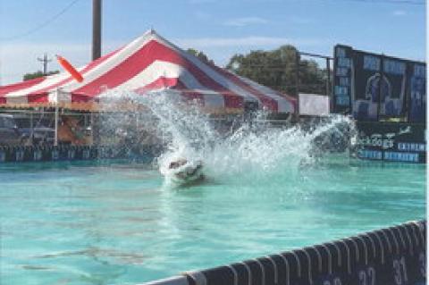 DOCK DOGS AT MCCORMICK PARK