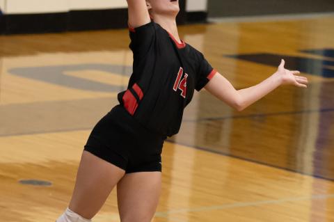 Article Image Alt Text