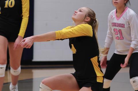 Article Image Alt Text