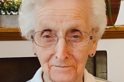 Article Image Alt Text