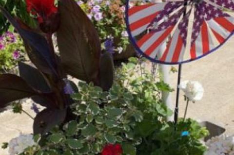 Article Image Alt Text