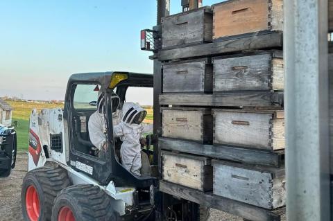 Article Image Alt Text