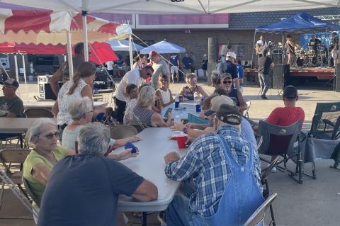 Article Image Alt Text