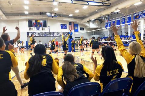 Article Image Alt Text