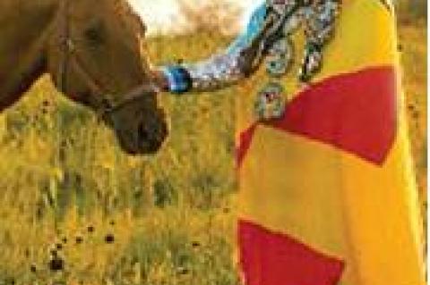 Article Image Alt Text