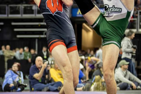 Article Image Alt Text