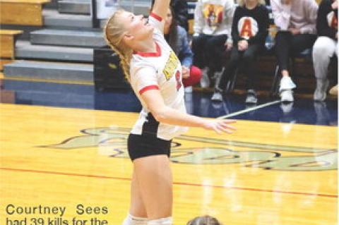 Article Image Alt Text