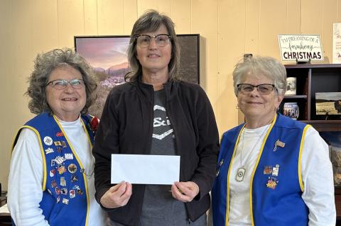 Article Image Alt Text