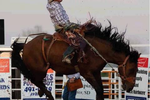 Article Image Alt Text