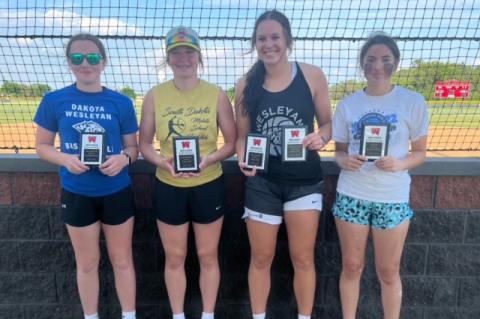 Article Image Alt Text