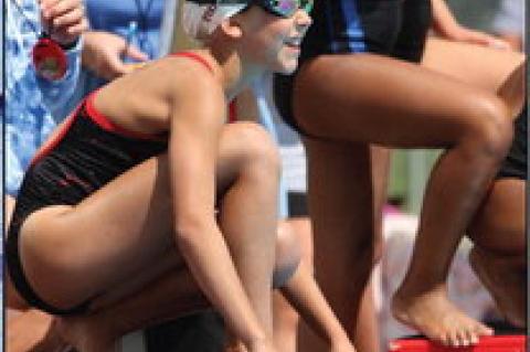 Article Image Alt Text