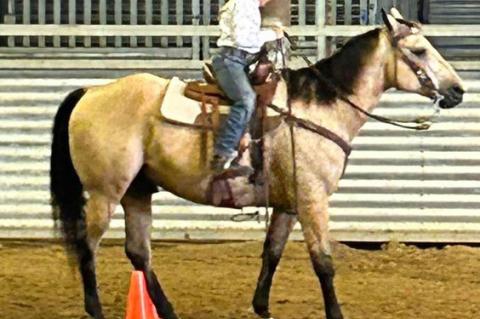 CHARLES MIX COUNTY 4-H HORSE SHOW