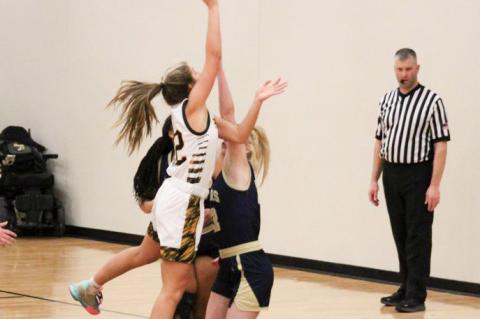 Article Image Alt Text