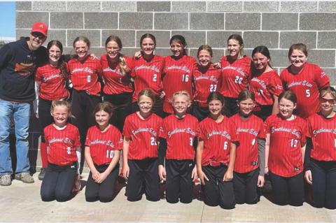 Article Image Alt Text