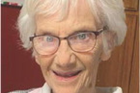 Article Image Alt Text