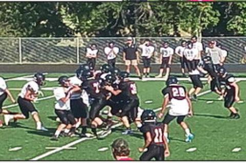 Article Image Alt Text