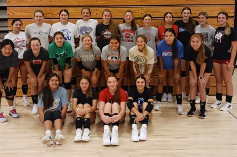 Article Image Alt Text