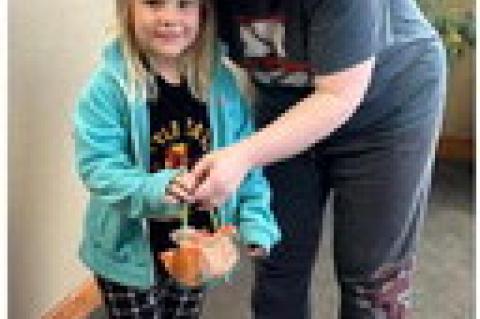 Article Image Alt Text