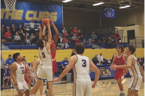 Article Image Alt Text