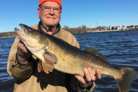 Article Image Alt Text