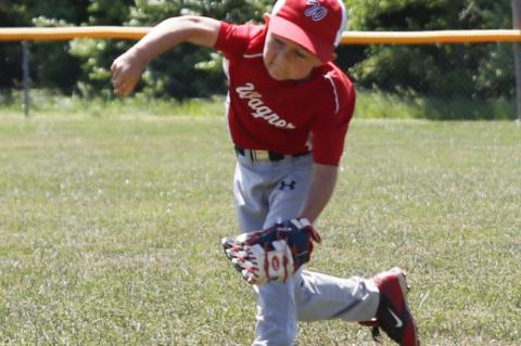 Article Image Alt Text