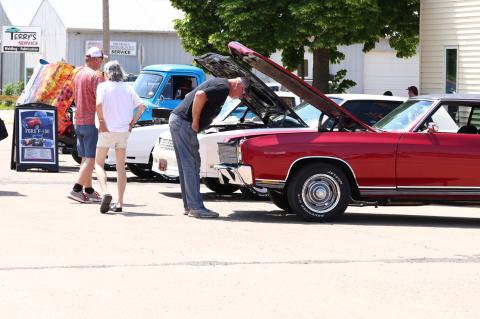 Article Image Alt Text