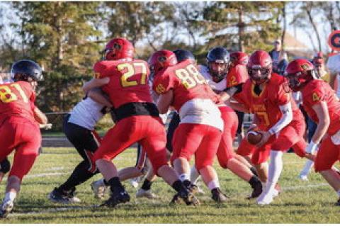 Article Image Alt Text