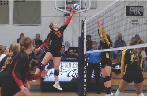 Article Image Alt Text