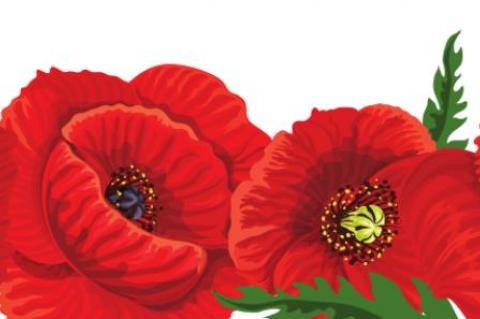 Article Image Alt Text