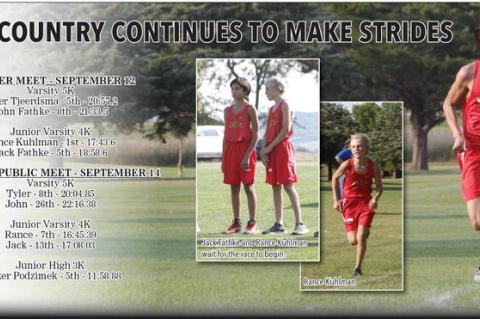 Article Image Alt Text